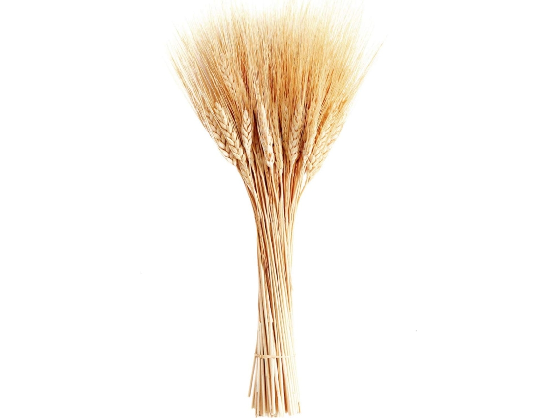 Flores Secas Rústicas para Decoração de Casa, Talos de Trigo Secos Naturais Que Realçam a Decoração do Seu Casamento BRILVIBERA