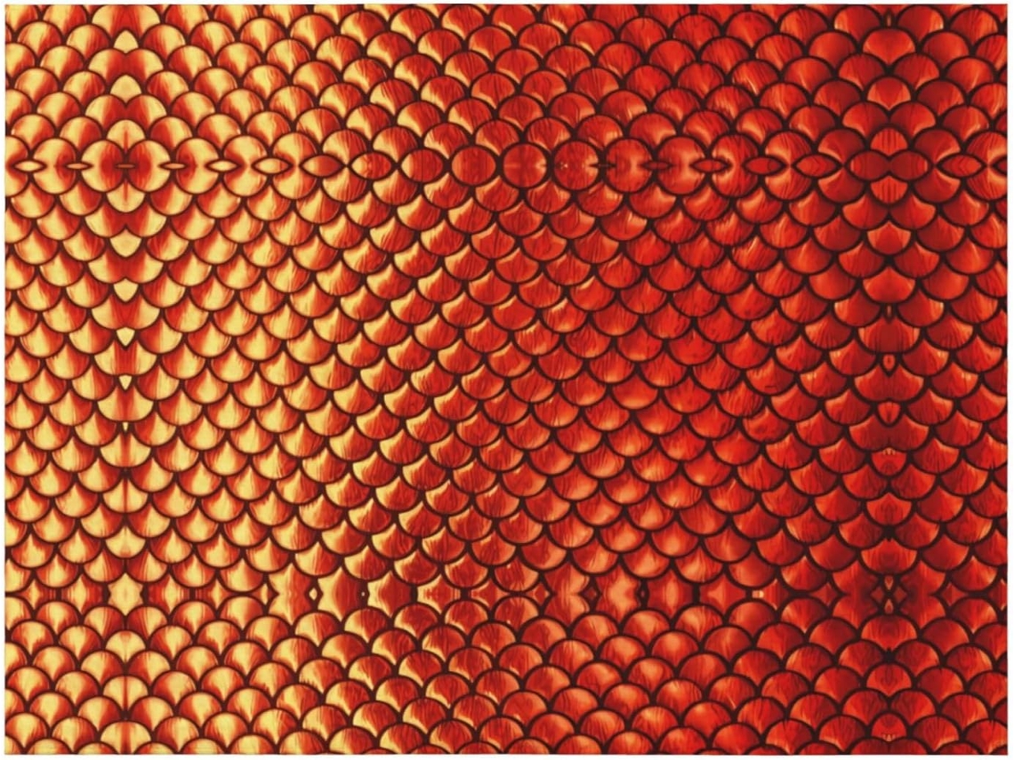 Colcha de Flanela com Estampa Escamas Peixinho Dourado Manta Macia e Aconchegante para Sofá Ou Quarto 101 6