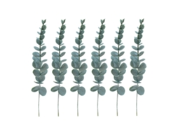 Pack de 6 Ramos de Eucalipto 38cm com Spray Branco LAXISCREED