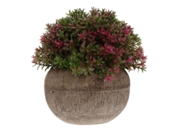 O Novo Mini Bonsai Falso de 1 Unidade ALLINLESS