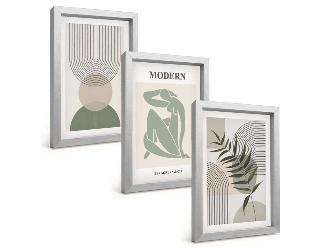 Um Conjunto De Imagens Decorativas Em Uma Molduragráficos Elegantes De Plantas Moldura Prateada Pinturas De Quarto Espelharte (3 Peças 20x30 Cm)