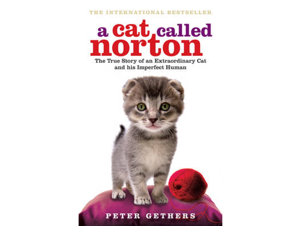 Livro A Cat Called Norton de Peter Gethers (Inglês)
