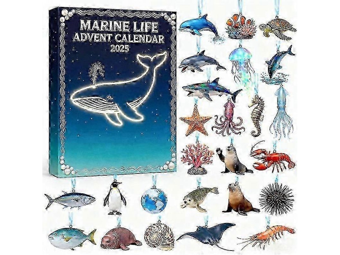Calendário De Adviento Navideño 2025 Decoração Acrílico Estilo Completo 2d Organismos Marinos