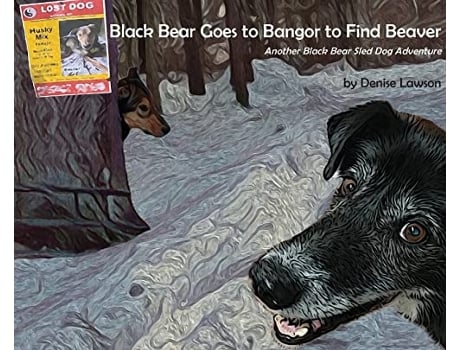 Livro Black Bear Goes to Bangor to Find Beaver de Denise Lawson (Inglês)