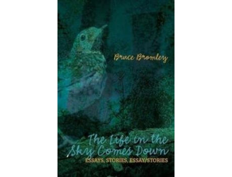 Livro The Life In The Sky Comes Down De Bruce D Bromley (inglês)