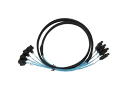 Cabo Sas LAXISCREED 6gbps Ssd 4 Sata