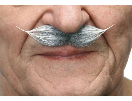 Bigode  Época Grisalho (Tam: Tamanho Único)