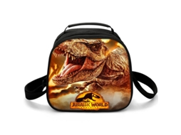 Sacola de piquenique com impressão 3D Jurassic World, estilo Harajuku, lancheira escolar semicircular, Aquaforge Bol