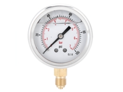 Manômetro de Pressão Radial Oleado 0-28bar | S/MARCA