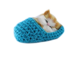 Mini Gatinho em Brinquedo de Sapato ALLINLESS
