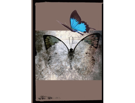 Livro Beautiful Butterfly de Tbrad Designs (Inglês)