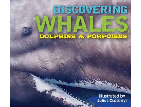 Livro Discovering Whales, Dolphins and Porpoises de Kelly Gauthier (Inglês - Capa Dura)