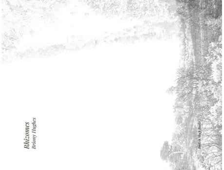 Livro Rhizomes de Briony Hughes (Inglês)