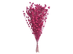 Conjunto de 50 Nuts Decorativos de Natal Rosa Vermelho LAXISCREED