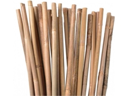 Varas de Bambú 50 Un SUINGA (90 Cm, Diâmetro 6-8 Mm)