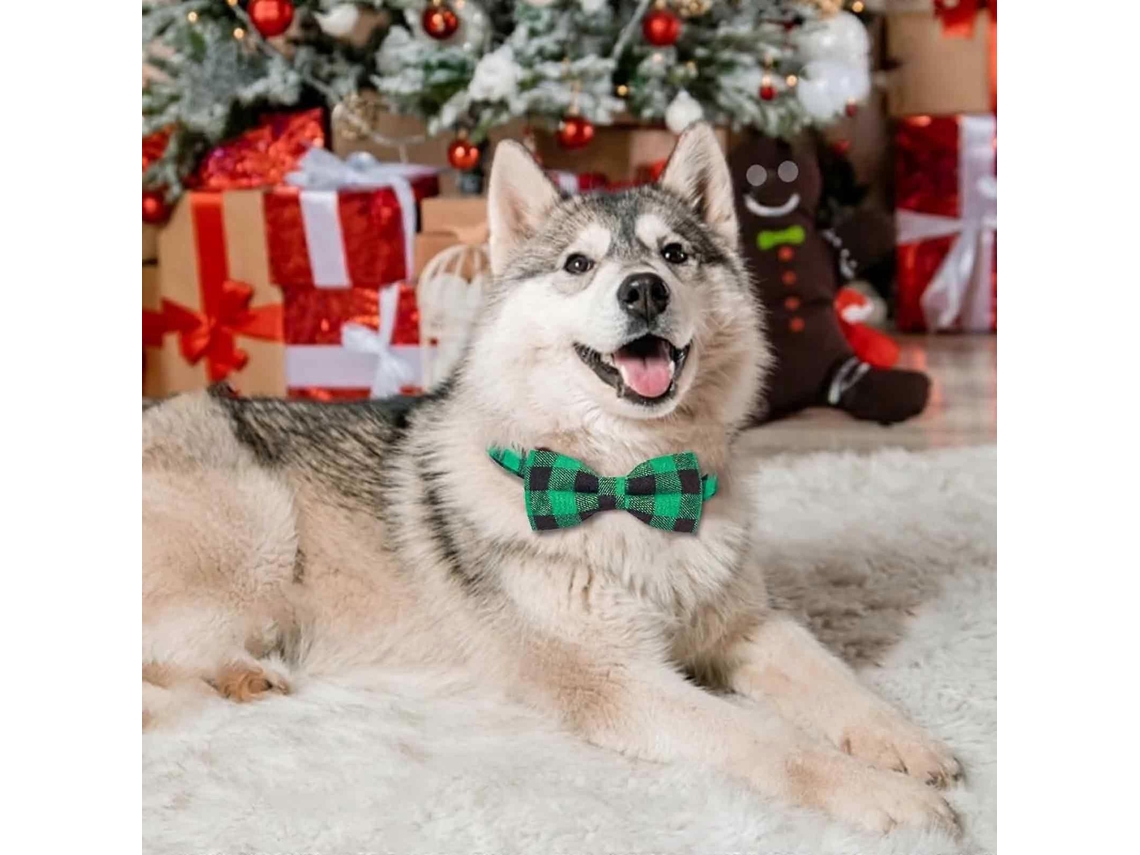Laço De Cachorro Verde Ajustável E Macio Para Acessórios De Pets