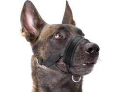 2026 boquilla Suave de Nylon para Perros, Anti mordedura, Anti ladridos, Anti mordisqueo, Ajustable (xl, Negro)