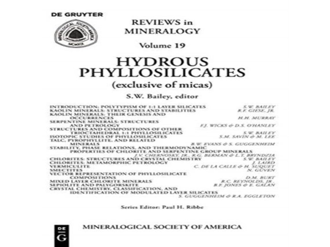 Livro Hydrous Phyllosilicates de De Gruyter (Inglês)