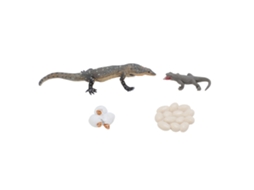 Mali 4 Pcs Brinquedo Ciclo de Vida Lagarto Pvc Realista Educacional Reptil Animal