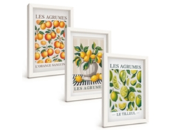 Um Conjunto De Imagens Decorativas Em Uma Moldura Frutas Cítricas Coloridas Moldura Branca Pinturas De Quarto Espelharte (3 Peças 20x30 Cm)