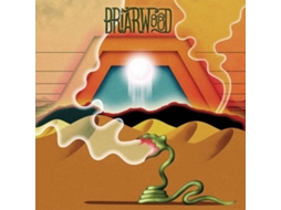 CD Wooden Wand And The Briarwood Virgins - Briarwood