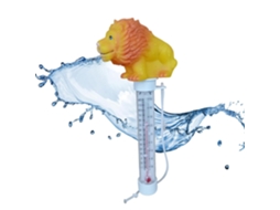Termômetro Para Piscina