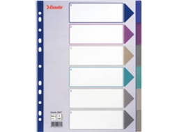 Separador ESSELTE Plastic (A4 - 24.5x30.5cm - Polipropileno)