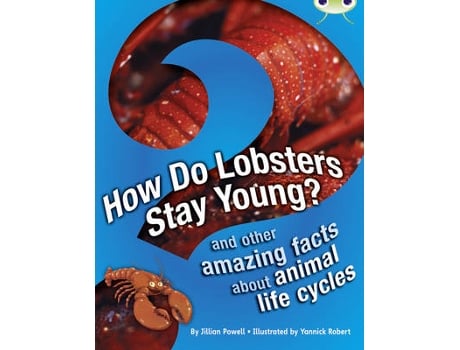 Livro bug club independent non fiction year 3 brown a how do lobsters stay young? de jillian powell (inglês)