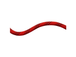 Corda 10.5 Performance Static Vermelho 200 Mmammut