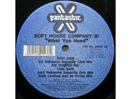 Vinil What You Need Mixes Fantastic Records