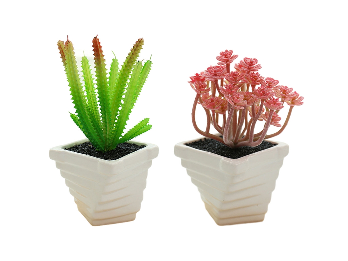 2Pcs Plantas Suculentas em Vaso Criativas Pequenos Ornamentos NEVEANCE