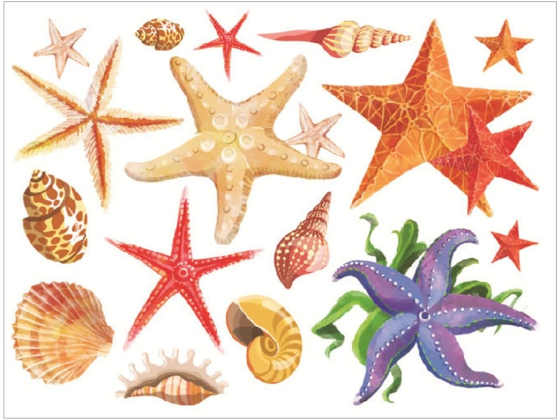 Adesivo De Parede Decorativo Em Pvc Com Formato De Concha | Para Sala De Estar, Adesivos Com Tema Oceano