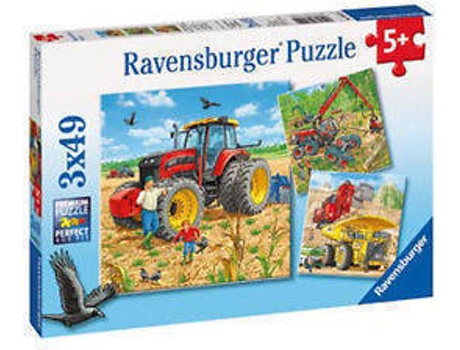 Puzzle  080120 (49 Peças)