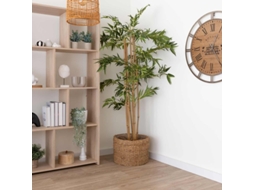 Planta Bambu Kayla 180Cm CASIKA