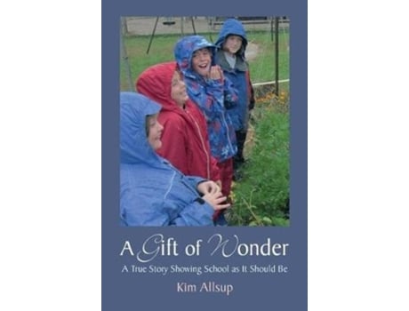 Livro a gift of wonder de kim allsup (inglês)