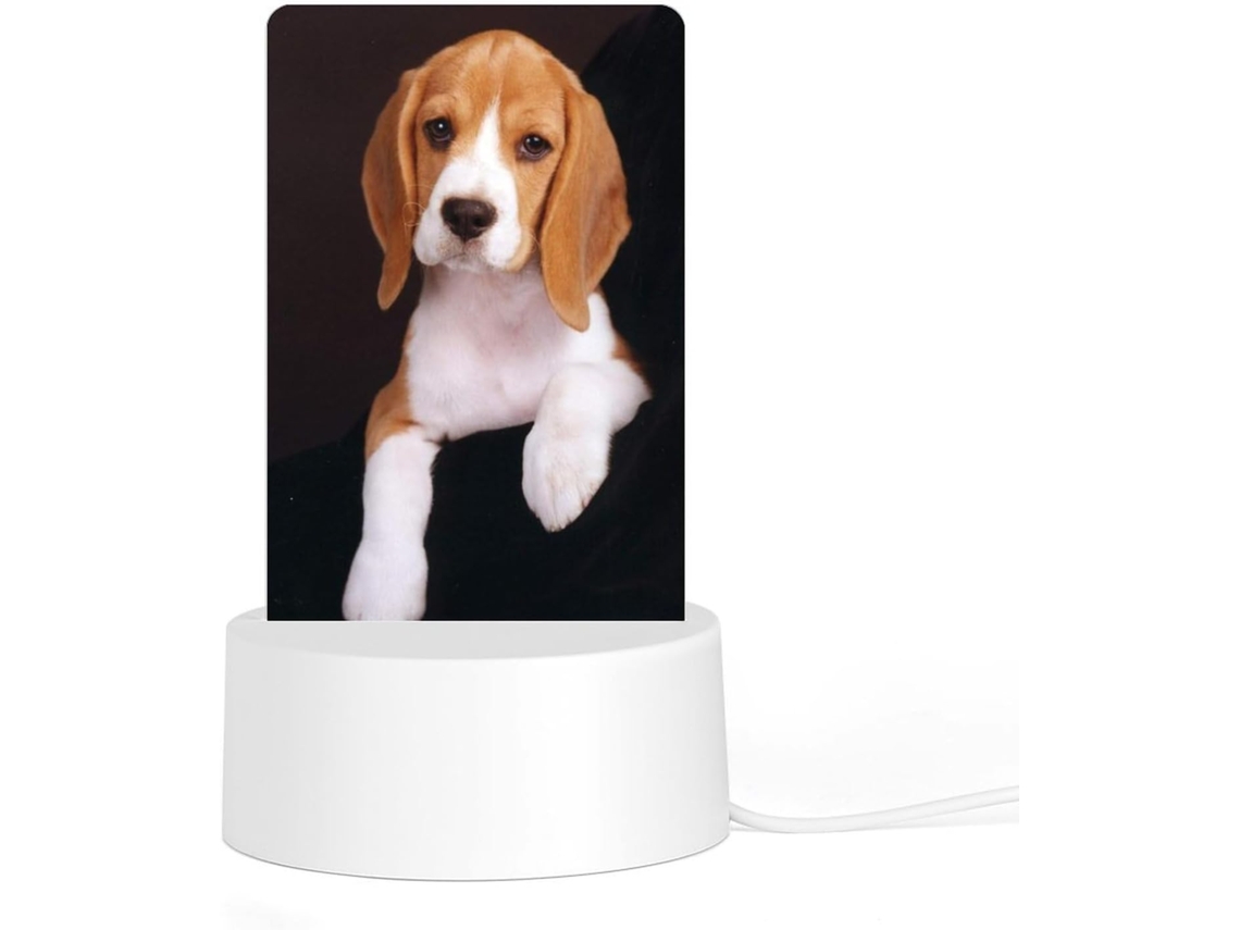 Ovely Luminária Noturna Beagle Cães, Durável, Resistente À Ferrugem, Lâmpada Led Prático Banheiro, Corredor E