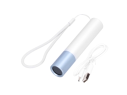 Rebe-linterna Uv Recargable De 365nm Con Luz Led Violeta Fluorescente Para Inspección De Tiña Y Falsificaciones, Entrada/salida Usb, Plata