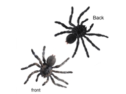 Pack de 4 Modelos de Insetos Simulados Aranhas Halloween Cinzentas LAXISCREED