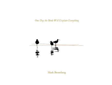 Livro One Day the Birds Will Explain Everything de Mark Bromberg (Inglês)