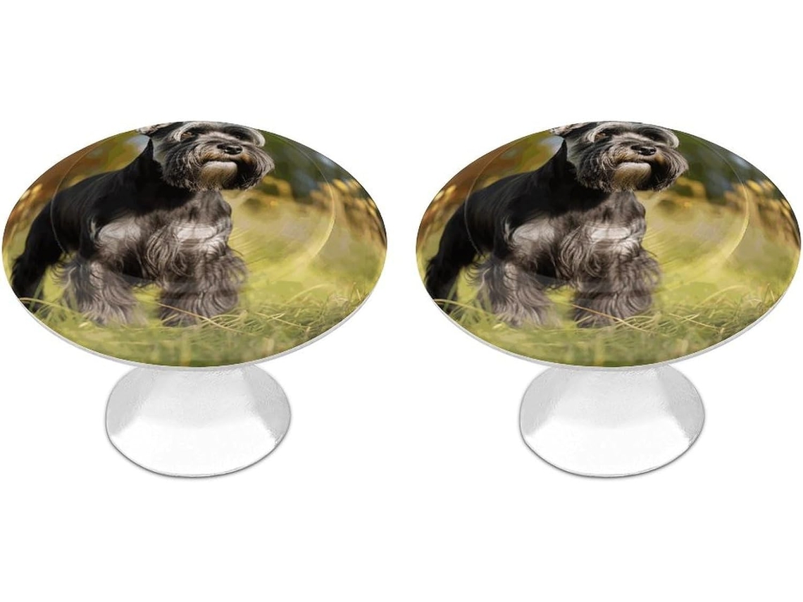 Conjunto De 2 Puxadores Aço Inoxidável Para Armários Cozinha, Com Estampa Personalizada De Um Schnauzer Na Grama Ideais