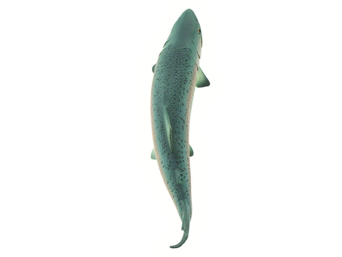 Safari Ltd Salmon Worten.pt