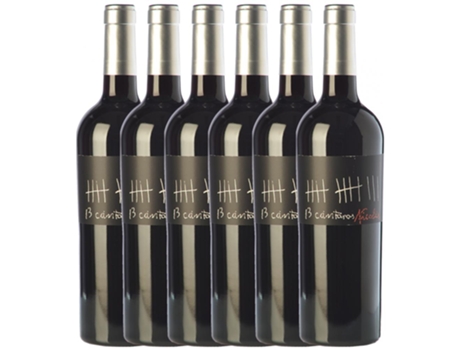 Vinho CÉSAR PRÍNCIPE César Príncipe 13 Cántaros Nicolás Tempranillo Cigales Joven (0.75 L - 6 unidades)