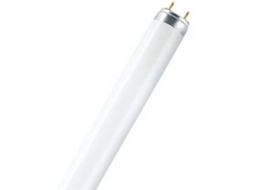 Lâmpada Lumilux T8 L 36 W/840 Ledvance