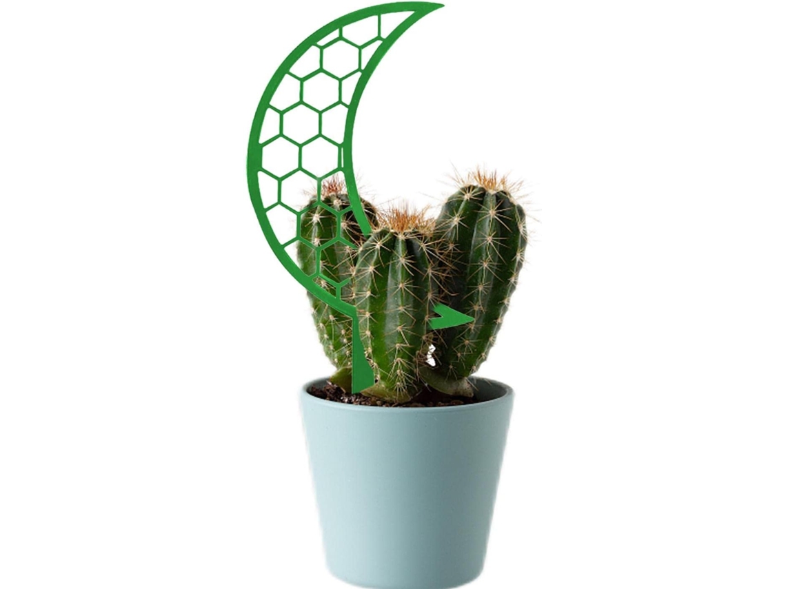 Dispositivo de suporte para plantas hidropônicas AQUAFORGE