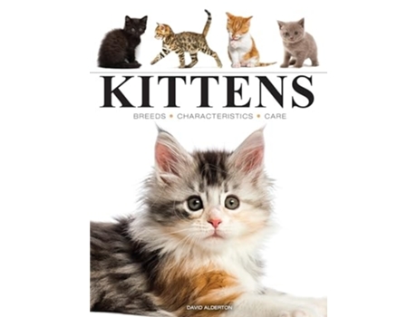 Livro Kittens de David Alderton (Inglês)