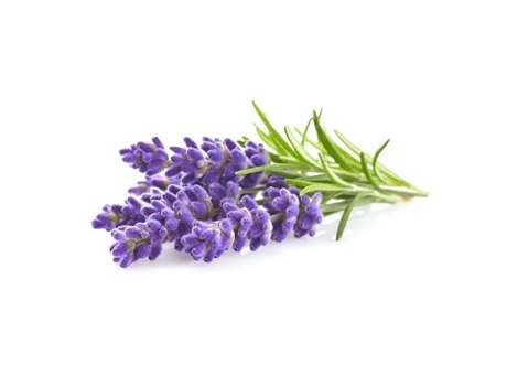 Recarga Tripla De Lavanda Para Smart Garden Click And Grow