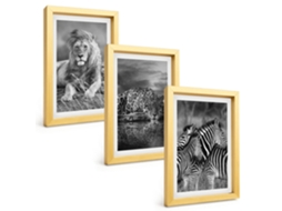 Conjunto De Pinturasanimais Selvagens, Savana Moldura Dourada Quadros Para A Sala De Estar Espelharte (3 Peças 20x30 Cm)