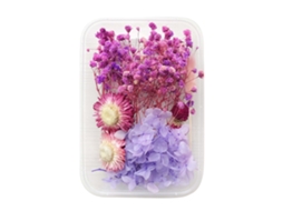 Flores Preservadas Roxas para Aromaterapia LAXISCREED