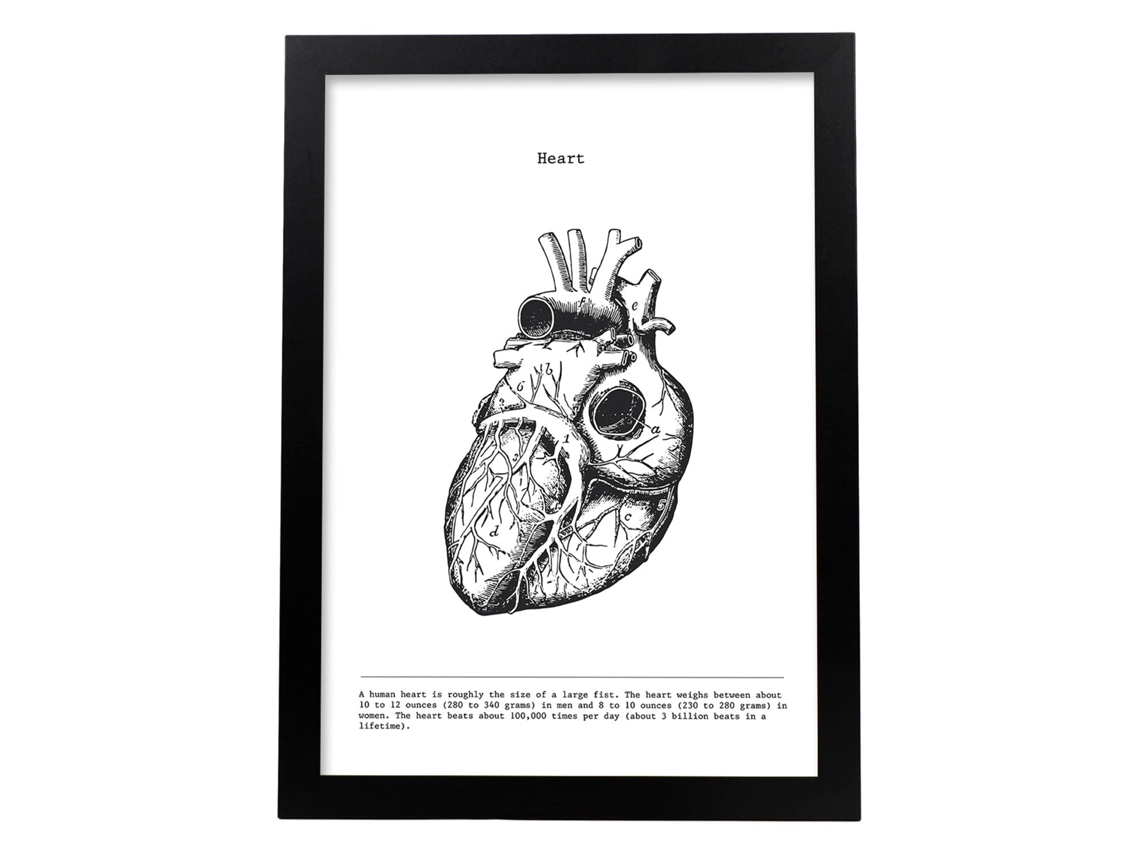 Conjunto de Pósters NACNIC (29 x 42 cm)