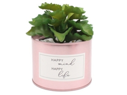 Plantas Suculentas Simuladas Em Vaso Flores Artificiais Shidi Decoração De Escritório Falsa Árvore Em Miniatura Paisagem Artificial